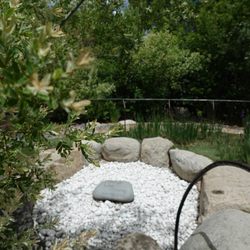 True Nature Healing Arts
