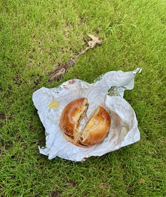 Emerald City Bagels by null