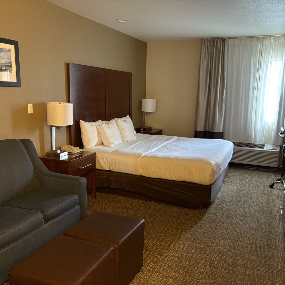 TOP 10 BEST Guest Houses in Flagstaff, AZ - Updated 2026 - Yelp