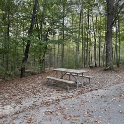 Alum Creek State Park - Picnic tables were at each camp.