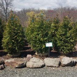 On Point Nursery