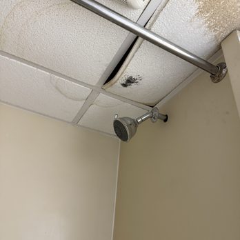 Budget Host Airport Inn - Bathroom ceiling growing black mold - Hotels Near Me - Waterville, Maine Budget Host Airport Inn - Bathroom ceiling growing black mold - Hotels Near Me - Waterville, Maine