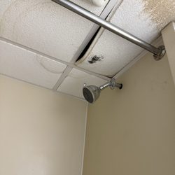 Budget Host Airport Inn - Bathroom ceiling growing black mold