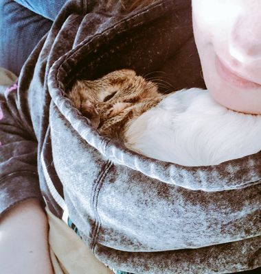 Burnt Hills Veterinary Hospital by null