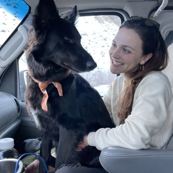Rebecca Frank Dog Training - Pet Training Near Me Rebecca Frank Dog Training - Pet Training Near Me