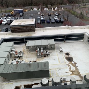 Embassy Suites by Hilton Berkeley Heights - View from the room, first week of Spring 2024 - Hotels Near Me - Berkeley Heights, New Jersey Embassy Suites by Hilton Berkeley Heights - View from the room, first week of Spring 2024 - Hotels Near Me - Berkeley Heights, New Jersey