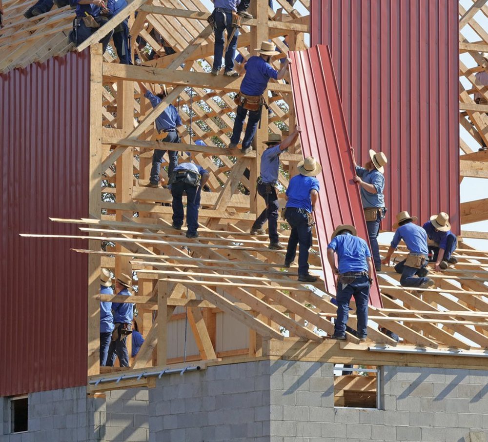 Slide of Green Gazelle