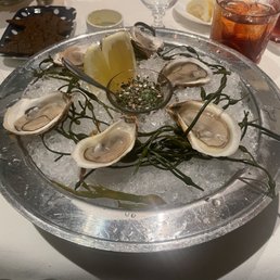 Oyster