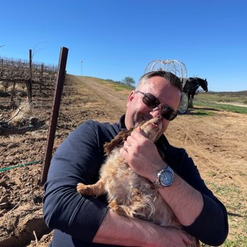 Temecula Carriage Company - Dottie! - Wine Tours Near Me - Temecula, California