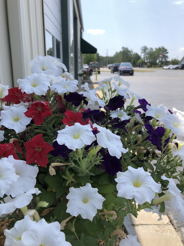 CAROLINA CAR CARE WEST END TEMP. CLOSED 144 Macdougall Dr, West