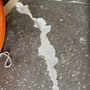 Photo of Spektra Painting