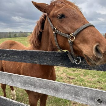 MILL RIDGE FARM - Updated February 2026 - 73 Photos & 16 Reviews - 2800 ...