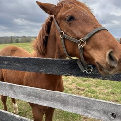 Mill Ridge Farm - The best place on Earth