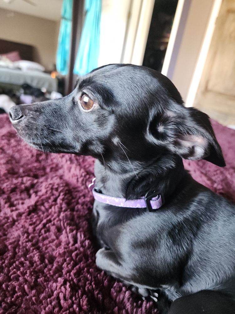 K TOWN Request Information 17 Photos 119 160 Celano Crescent