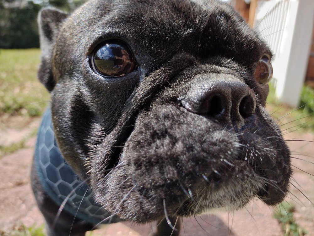 SHANNON & DAN’S PET WONDERLAND Request Information 10 Photos Fort