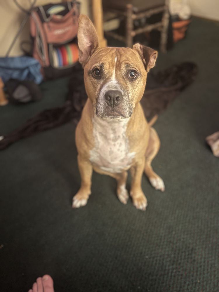 Slide of RRR Roofing