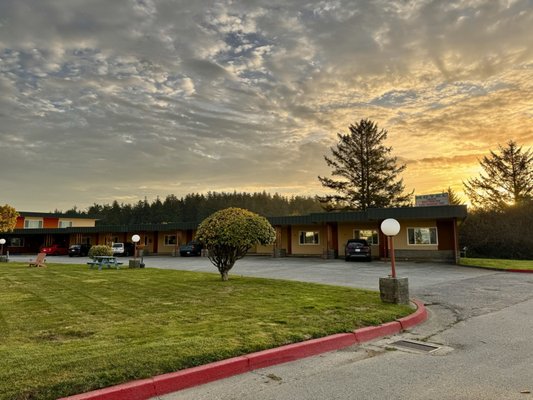 Curly Redwood Lodge by null