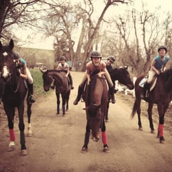 Tall Horse Riding Club