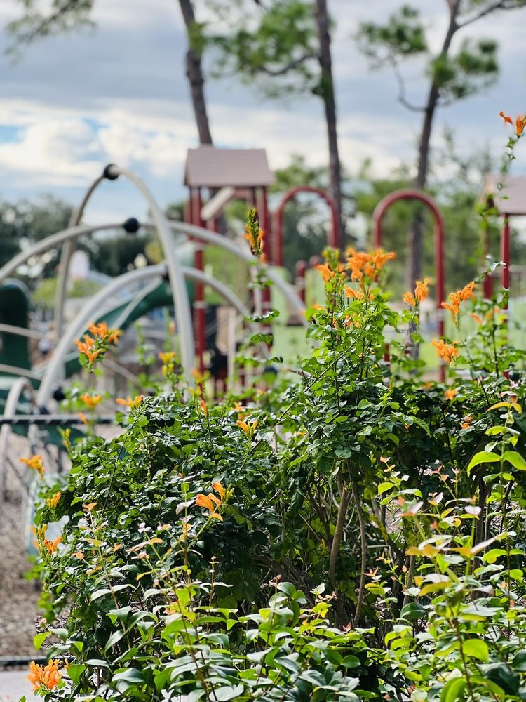Todd A. Robiner Park Image