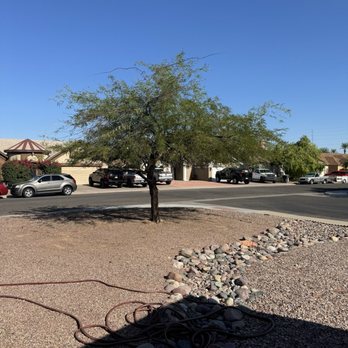 Gabriel Landscaping - After tree trim - Landscaping Near Me