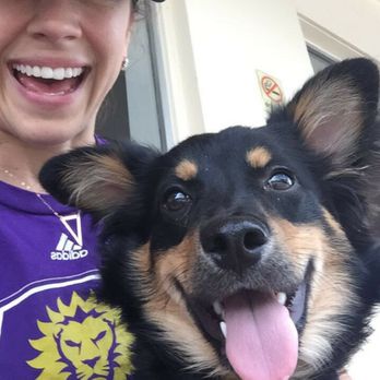 Mile High Dog Walking - Lauren with one of her favorite pup's, Sunny! - Dog Walkers Near Me Mile High Dog Walking - Lauren with one of her favorite pup's, Sunny! - Dog Walkers Near Me