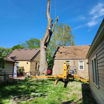 Trees Only MI - Tree Services Near Me Trees Only MI - Tree Services Near Me