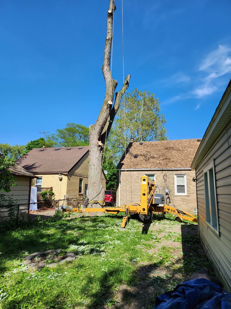 Trees Only MI - tree service in Garden City, MI