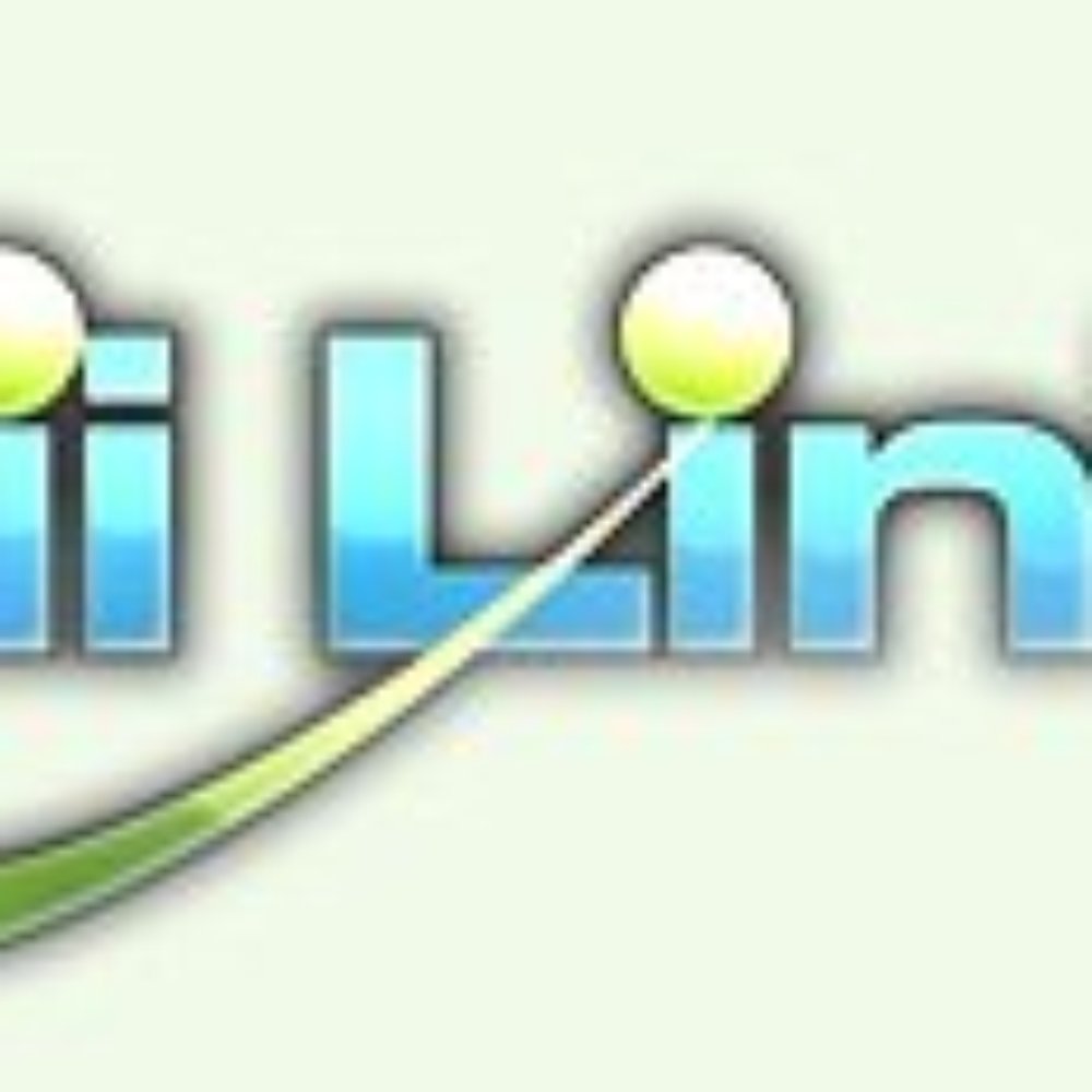 Hawaii Link - IT Services & Computer Repair Near Me - Lihue, Hawaii