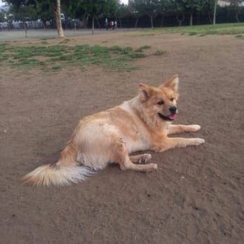 Wells Park - Dog Parks Near Me - El Cajon, California