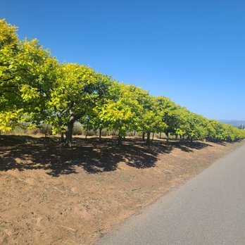 Ramona Fresh Fruits - Fruits & Veggies Near Me - Ramona, California Ramona Fresh Fruits - Fruits & Veggies Near Me - Ramona, California
