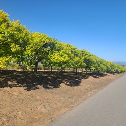 Ramona Fresh Fruits