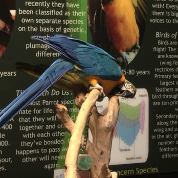 Austin Aquarium - Aquariums Near Me - Austin, Texas
