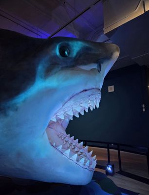 Royal Ontario Museum by null