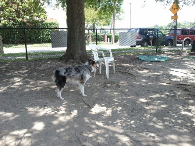 Colonial Place Greenway Dog Park