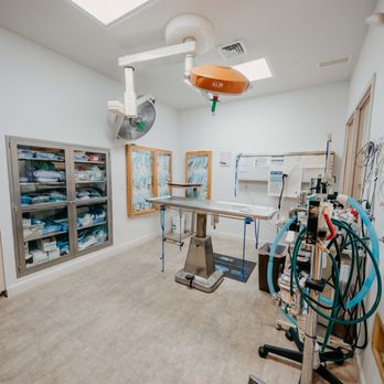 Fallston Veterinary Clinic - Veterinarians Near Me - Fallston, Maryland Fallston Veterinary Clinic - Veterinarians Near Me - Fallston, Maryland