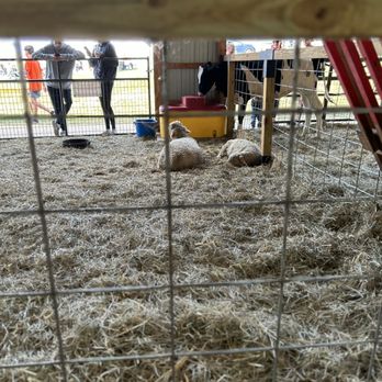 Summers Farm - The live animals barn - Attraction Farms Near Me - Middletown, Maryland
