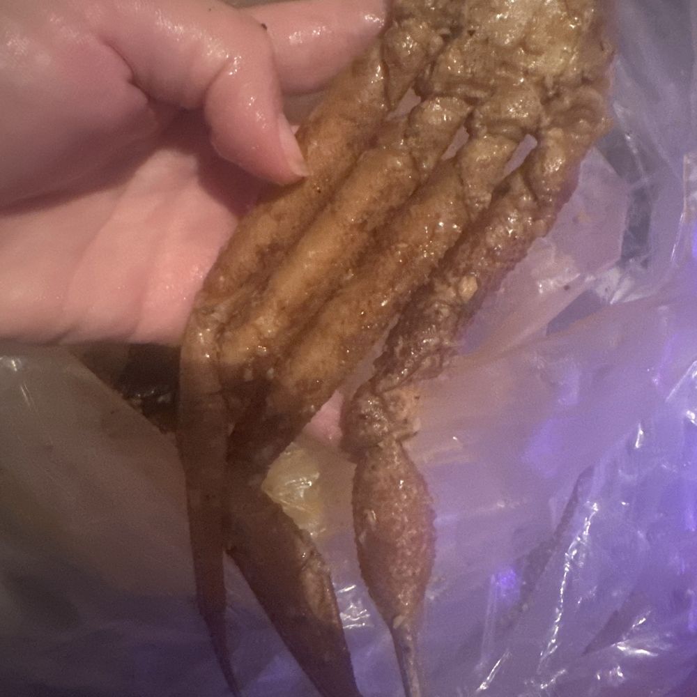 Snow Crab Legs Snow Crab Legs