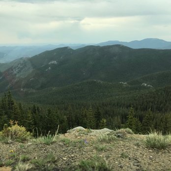 Mount Blue Sky Scenic Byway - Evergreens below the timberline. - Hiking Near Me