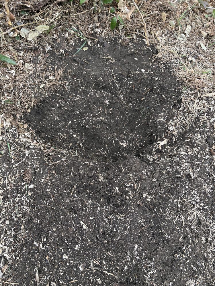 Precision Stump Grinding - tree service in American Fork, UT