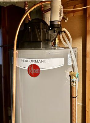 Sasquatch Plumbing Logo