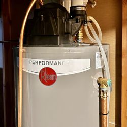 Sasquatch Plumbing - Power vent water heater-professional model.
