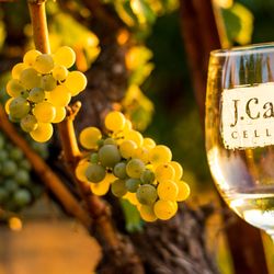 J. Cage Cellars