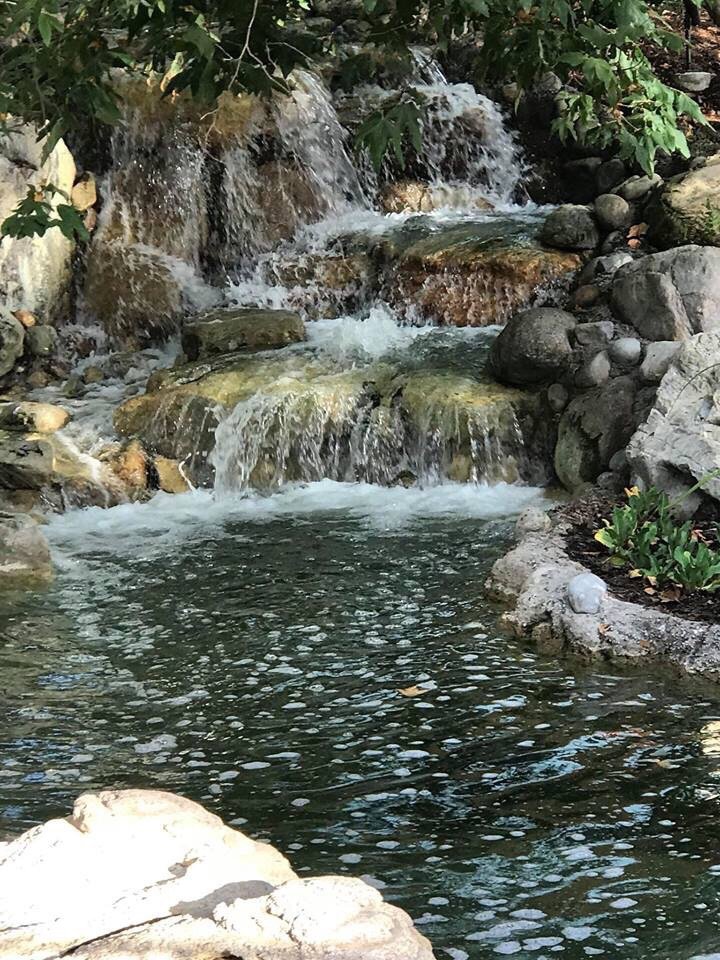 RED BARN BARBQ Updated September 2024 313 S Main St