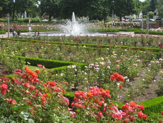 Peninsula Park Rose Garden by null