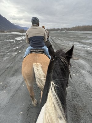 Alaska Horse Adventures, LLC by null