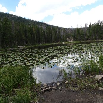 Nymph Lake - Lakes Near Me - Estes Park, Colorado