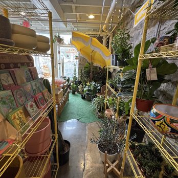 Desert & Vine Botanical Supply - Home & Garden Near Me - Nashville, Tennessee
