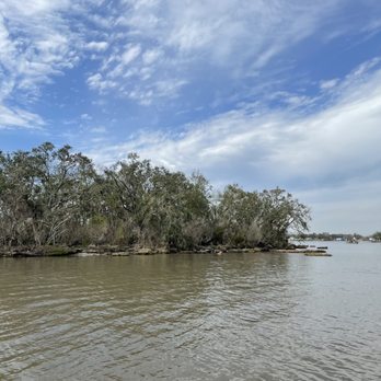 Airboat Adventures - Swamp - Boat Tours Near Me - Lafitte, Louisiana Airboat Adventures - Swamp - Boat Tours Near Me - Lafitte, Louisiana