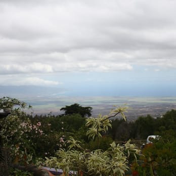 Ali'i Kula Lavender - Tours Near Me - Kula, Hawaii Ali'i Kula Lavender - Tours Near Me - Kula, Hawaii