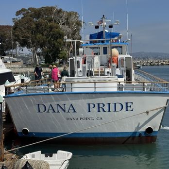 Boat Rides with Santa photo 10